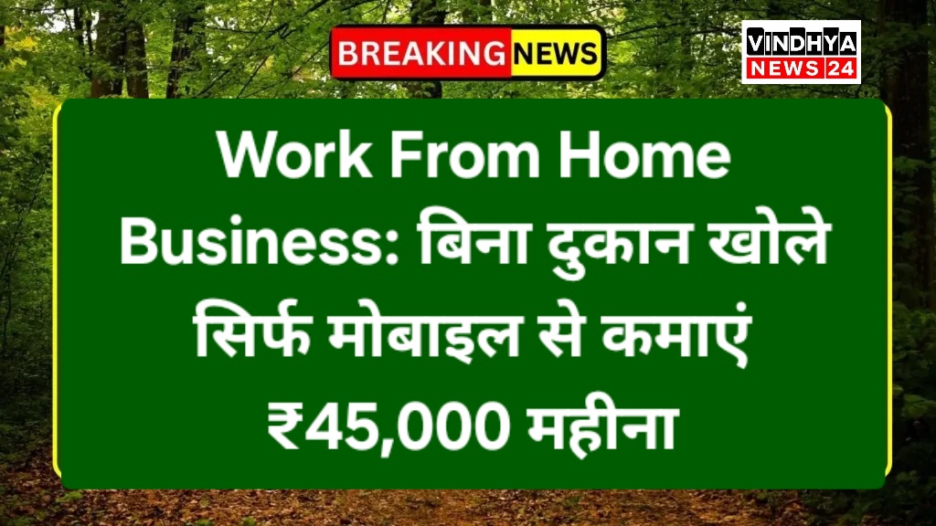 Work From Home Business: बिना दुकान खोले सिर्फ मोबाइल से कमाएं ₹45,000 महीना